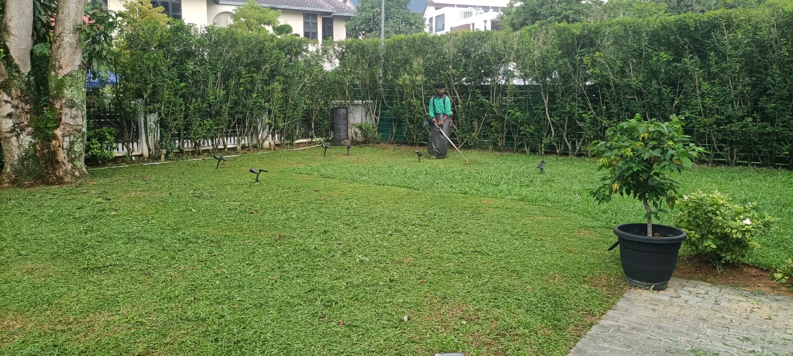 Residential Grass Cutting